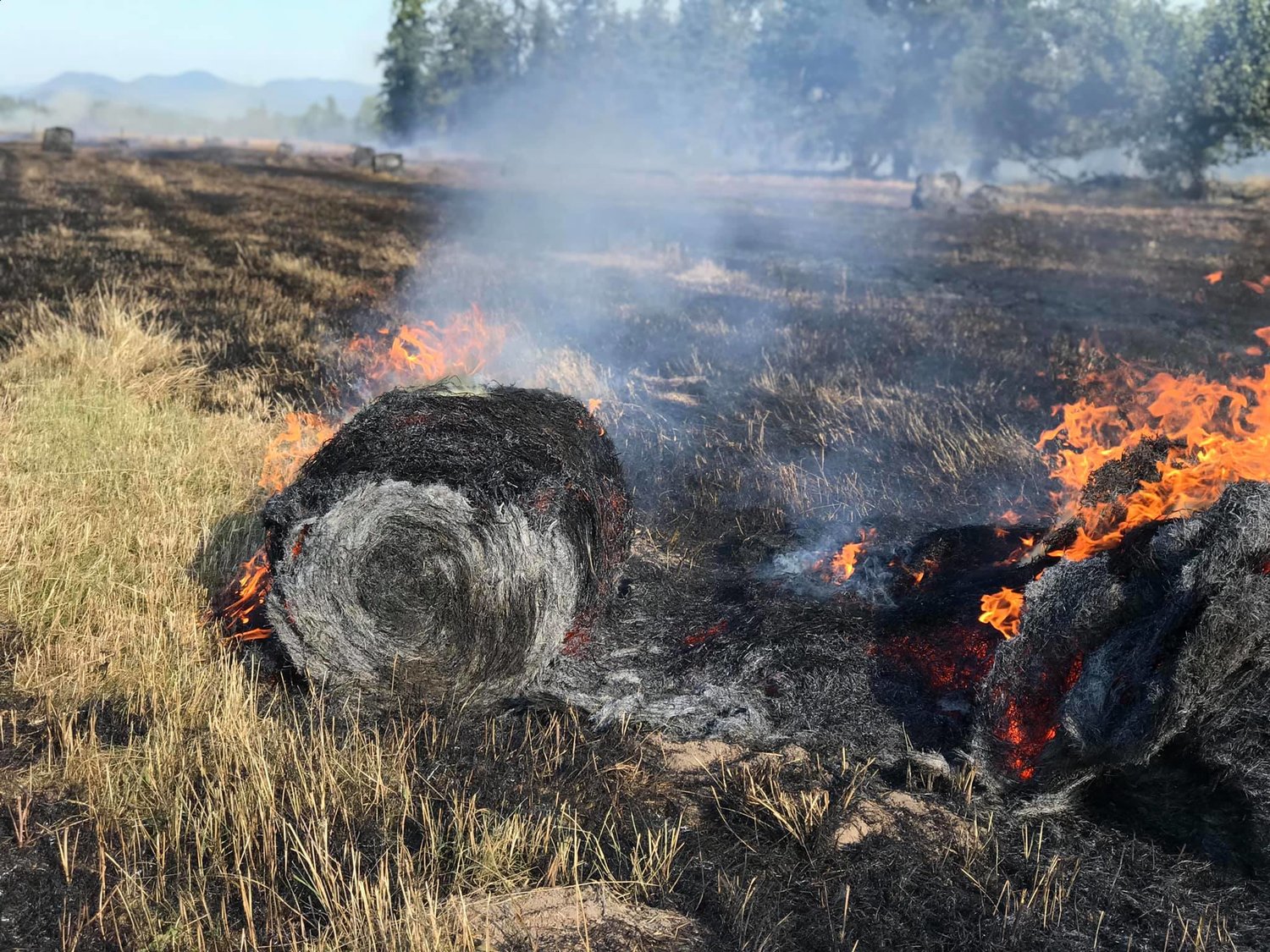 Bales of hay burned during the July 4 wildfire near Yelm.